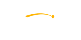 Netwin Casino logo